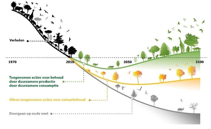 infographic biodiversiteit