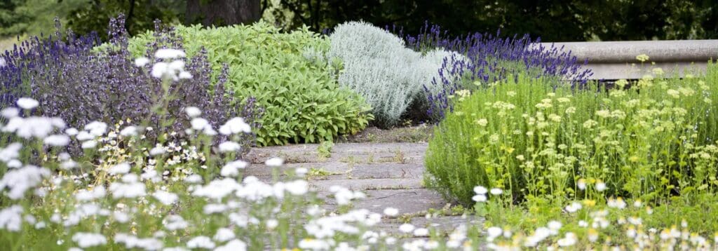 Groene werkomgeving bedrijfsterrein biodiversiteit