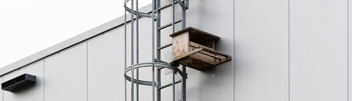 Nestkast torenvalk - wegwijzer Lokale biodiversiteit